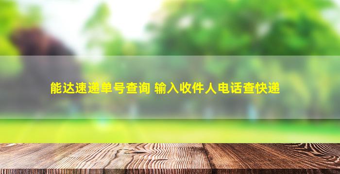 能达速递单号查询 输入收件人电话查快递